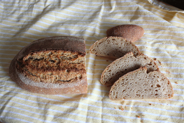 Pan-100%-semolina.gif
