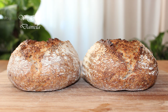 Pan-con-soaker-de-lino,-sésamo-y-chia..jpg