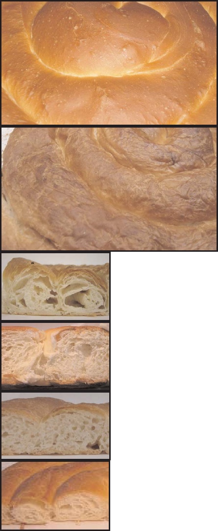Según el &quot;método de análisis sensorial de control de calidad de la ensaimada de Mallorca&quot;, una buena ensaimada con buen laminado sería la 3a imagen y la última. Dan las dos como buenas
