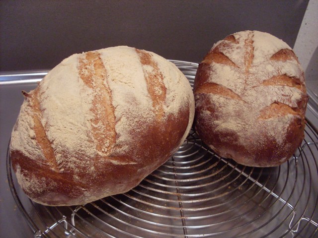 005 - pa de mie.JPG