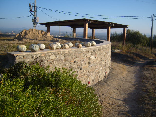 S1032130.JPG