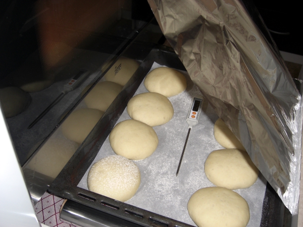 2ª fermentación de 1h, a 24º