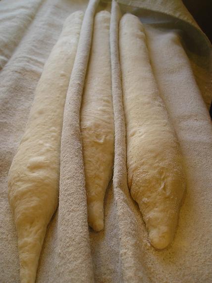 Baguettes fermentando.JPG