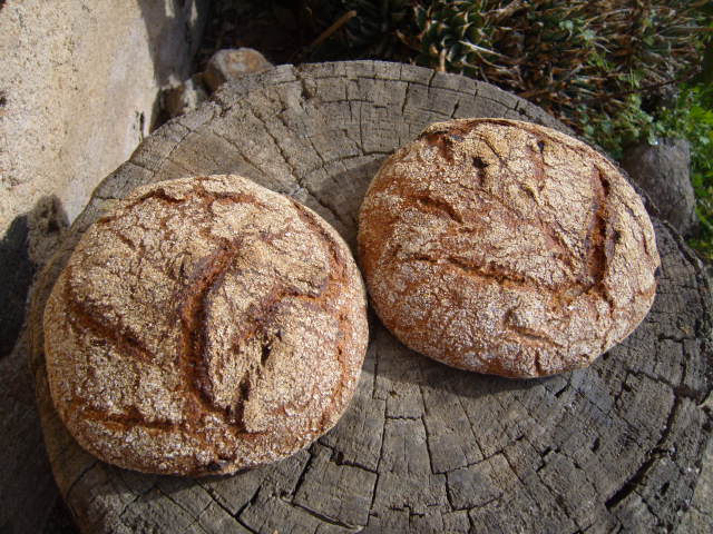 419 Apfelbrot.JPG