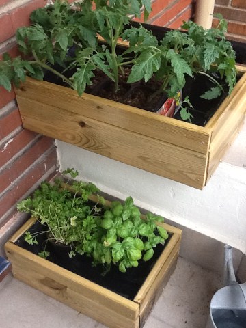 proyecto huerta (360 x 480).jpg