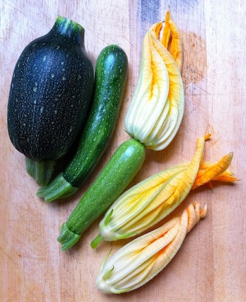 zucchini.jpg