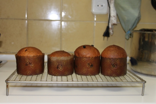 Panettone2.JPG