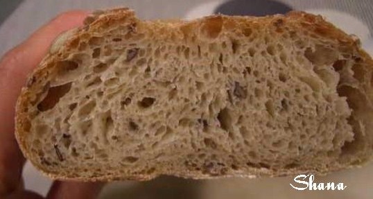 Pan de Kamut, miga.jpg