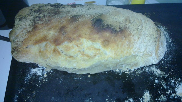 Chapatoide