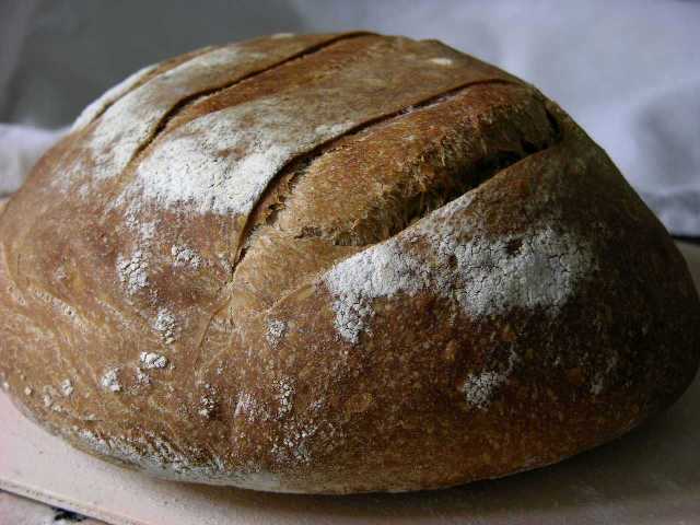 DSCN7379.JPG