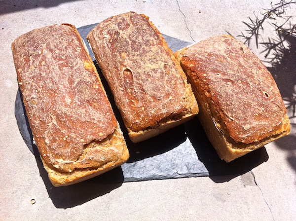kartoffelbrot-loretanska.JPG
