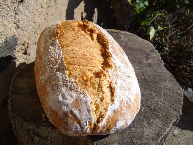 444 semolina bread.JPG