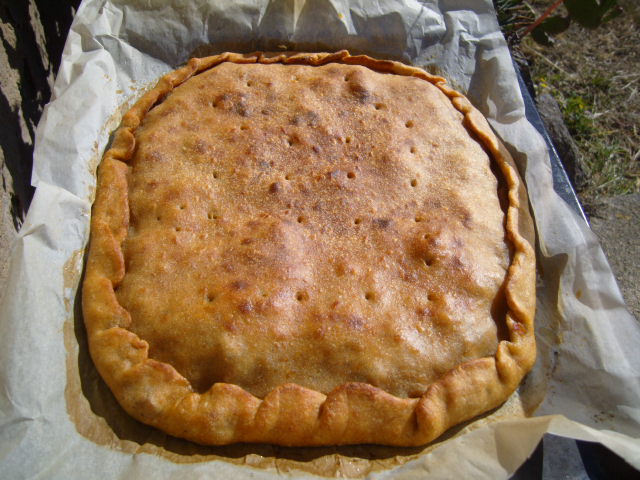 445 empanada de verduras y atún.JPG