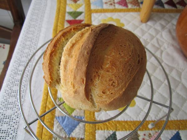 bollito.jpg