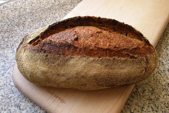 batard_sx.jpg