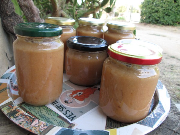 plátano,zumo de uvas y jenjibre