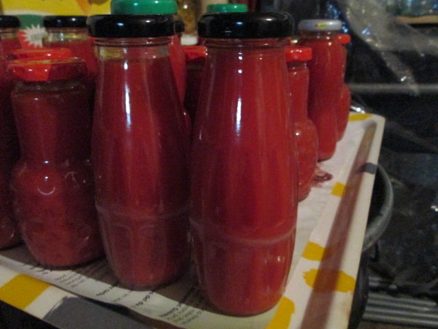 detall passata Pere 2012.JPG