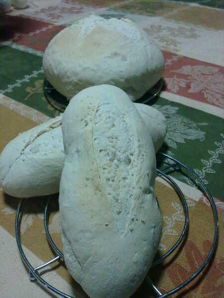 Blancos como la nieve 8(