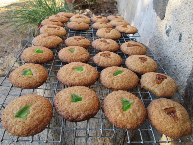 489 snickerdoodles amb gluten.JPG