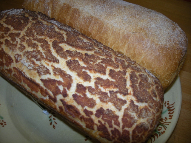 010 - pain de  mie, MM i pessic de llevadura. (640x480).jpg