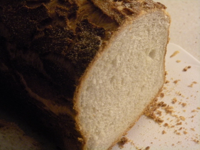 013 - detall crosta i molla (640x480).jpg