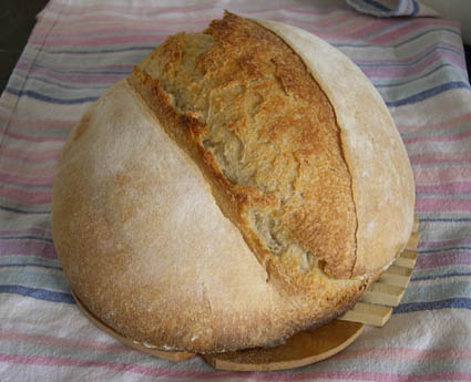 pan mm 01.JPG