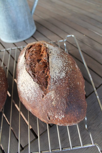 black cocoa spelt 14-10-12 7 (400 x 600).jpg