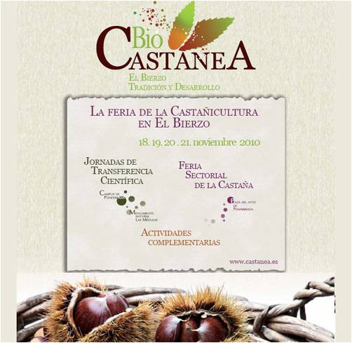 Feria Castanea.jpg