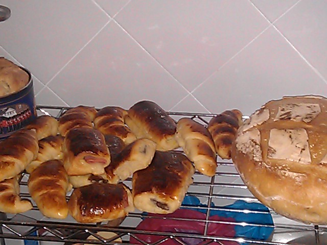 IMAG0319.jpg
