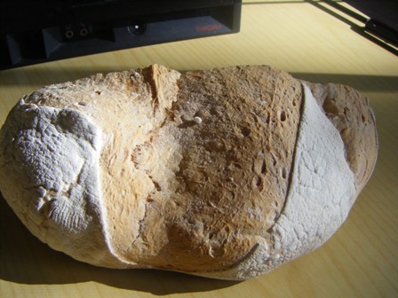 cuina 116.jpg
