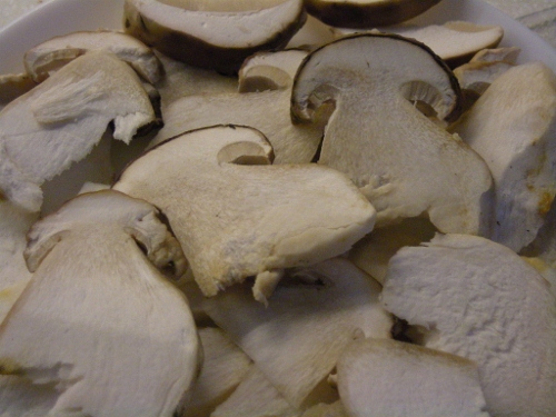 003 - ceps. .(500x375).jpg