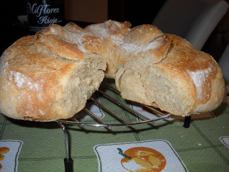 DSCN1431.JPG