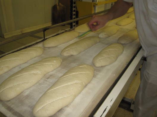 greñando Azkoien (528 x 396).jpg