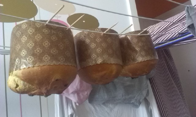 Panettone E.jpg