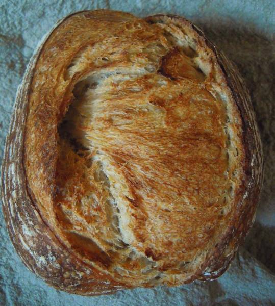 pan 2812121.jpg