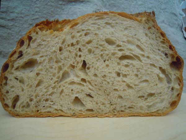 pan 2812122.jpg