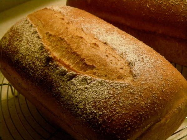 013 - motlle amb poolish de iogurt (600x450).jpg