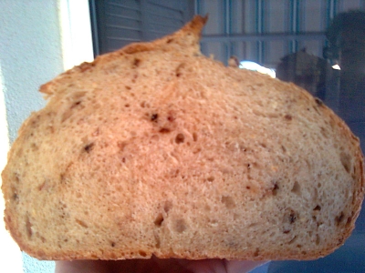 Miga Granary_opt.jpg