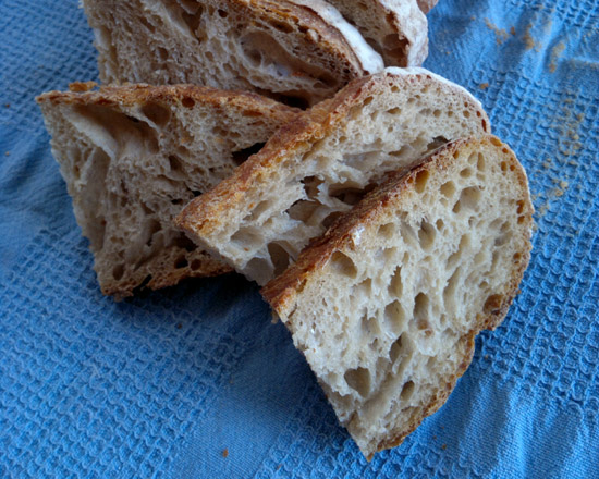 Miga grano malteado.jpg