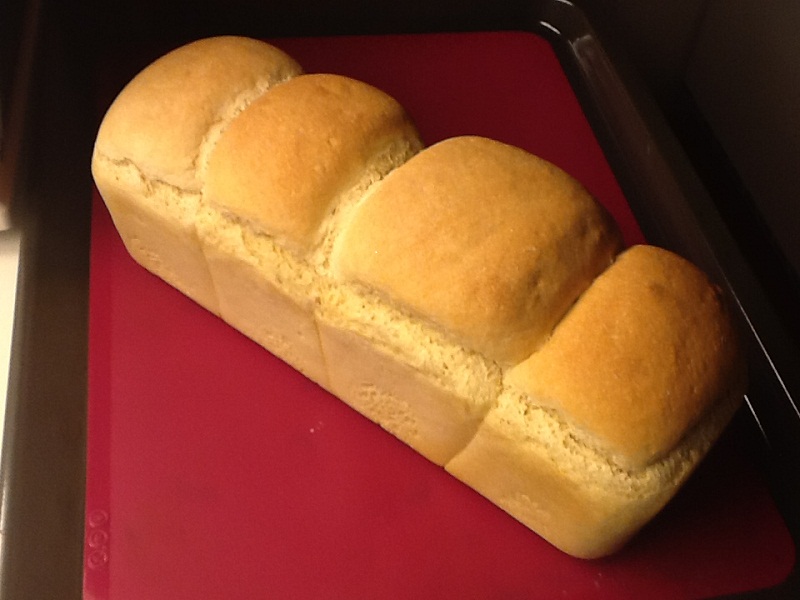 nuevo pan.jpg