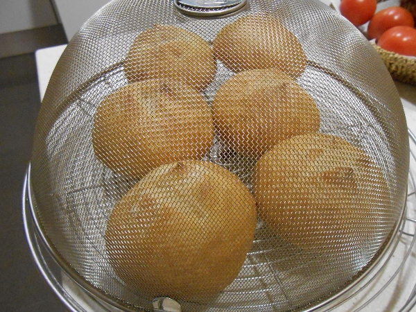 028 - panets amb poolish (600x450).jpg