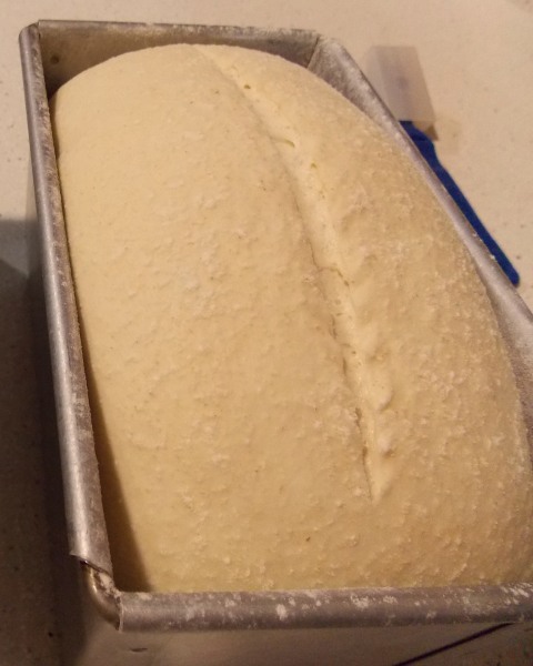 molde buttermilch1.JPG