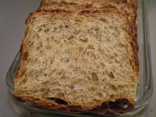 002 - taronja confitada, molla.. (600x450).jpg