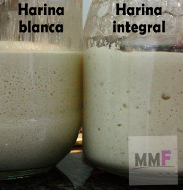 masa mare integral vs blanca.JPG