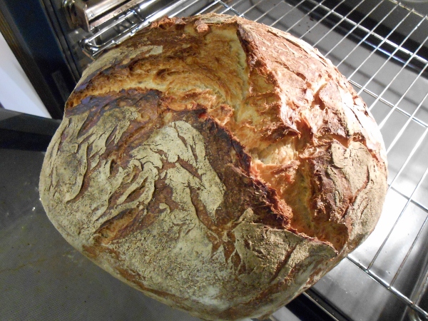 003 - mega pagès sortint del forn. (600x450).jpg