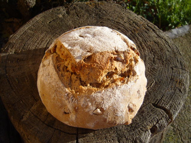 Pan de Calabaza y Nueces