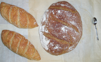 experimento y bollitos