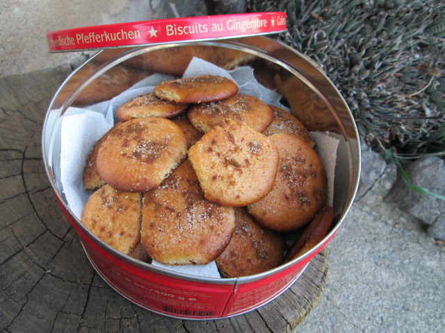 586 Snickerdoodles 2 sg.JPG