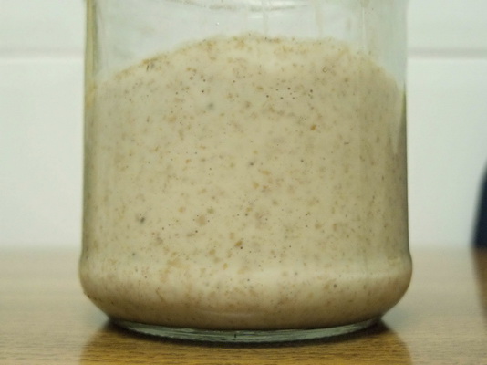 Despues de 24 horas con el primer alimento de harina blanca