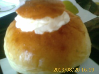 SEMLOR 16.jpg